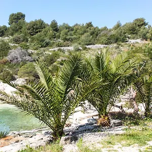 Apartament Tatinja, Trogir